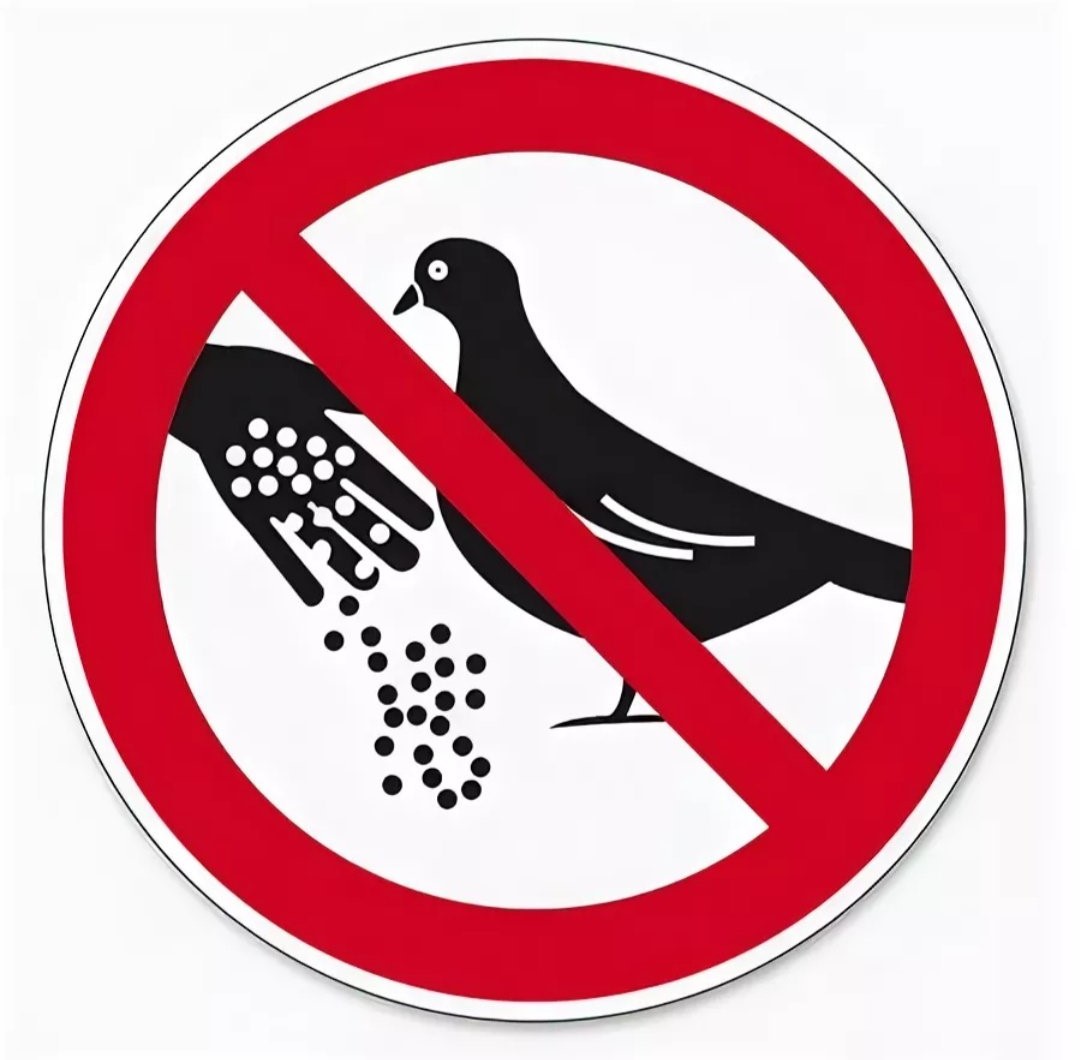 Не кормите птиц у подъездов
